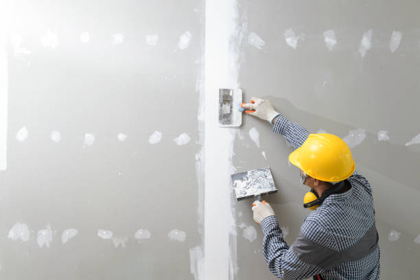 Yarmouth Port, MA Mold Removal Company