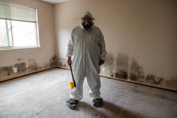 Best Mold Remediation for Healthcare Facilities  in Yarmouth Port, MA